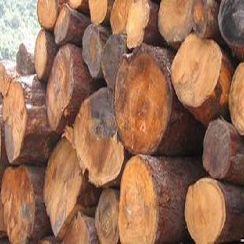 安徽进口木材厂家
